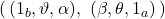 \left(\,(1_b,\vartheta,\alpha),\ (\beta,\theta,1_a)\,\right)