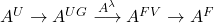 A^U\to A^{UG} \fl{A^\lambda}\longrightarrow A^{FV} \to A^F